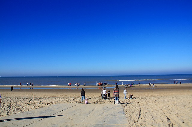 c0153740_1463725.jpg