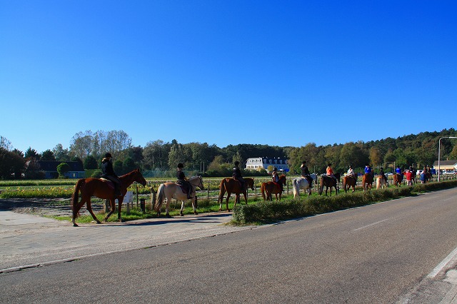 c0153740_224337.jpg