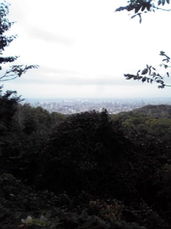 a0156548_2004698.jpg
