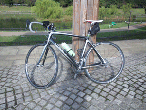 f0229250_18363478.gif