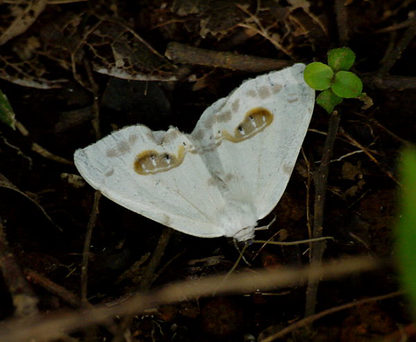 d0091754_2412518.jpg