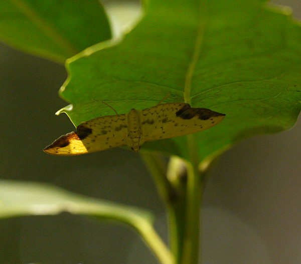 d0091754_27122.jpg