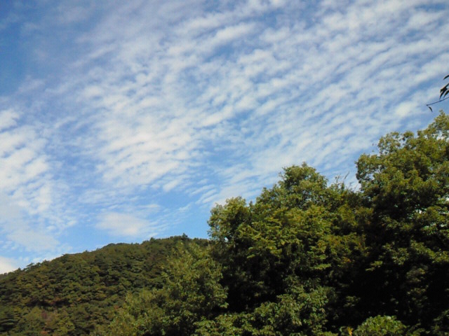 e0196261_23263254.jpg