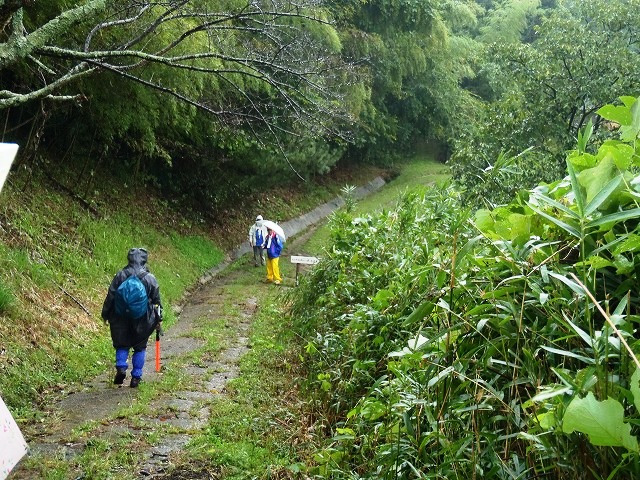 b0044663_1133486.jpg