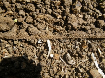 f0055264_20322831.jpg