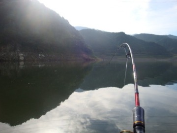 e0200770_2049370.jpg