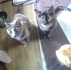 f0140271_21653.jpg