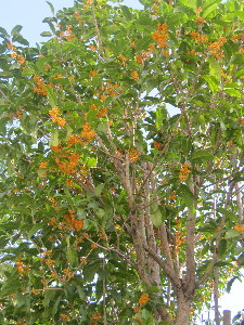 c0208974_21215950.jpg