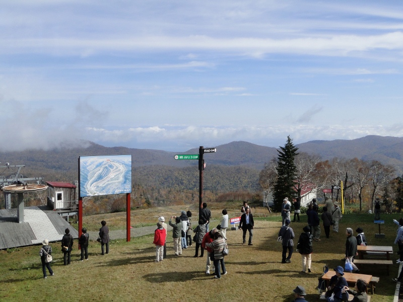 c0183777_20462012.jpg