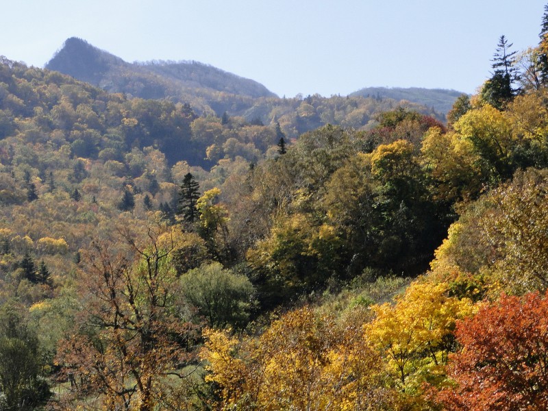 c0183777_20513132.jpg