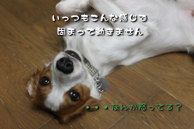 a0076980_042876.jpg