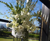 f0237680_2155859.jpg