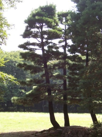 c0198781_18403886.jpg