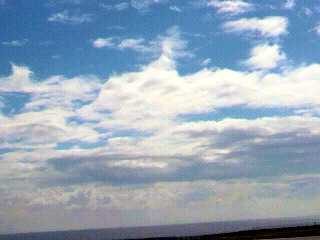 f0016981_1304968.jpg