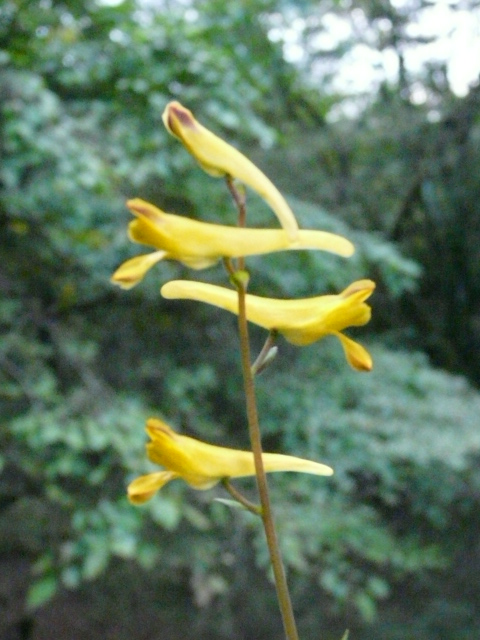 e0145782_18272316.jpg