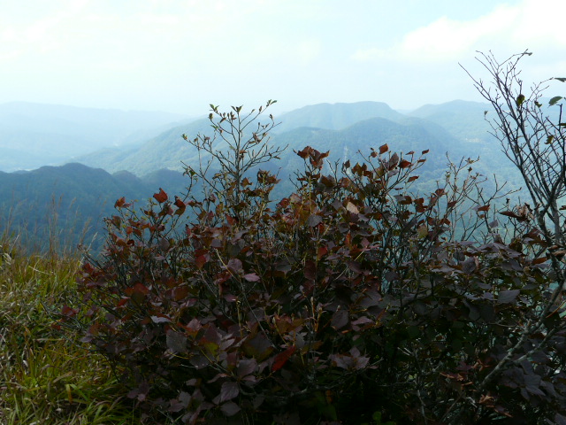 e0145782_18304222.jpg