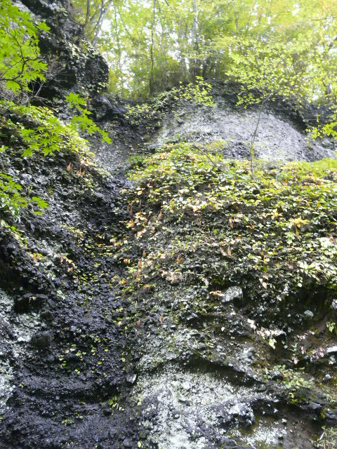 e0145782_1831633.jpg
