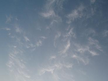 e0130185_1002334.jpg