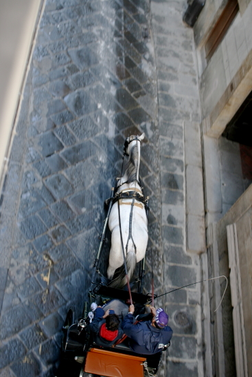 f0093592_9231183.jpg