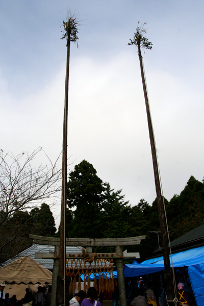 d0100095_8114539.jpg