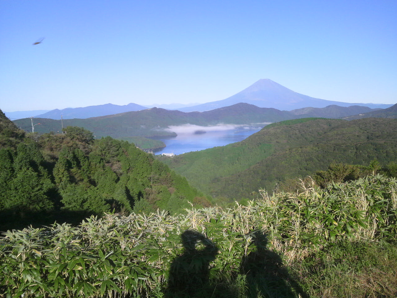 d0087497_16404012.jpg
