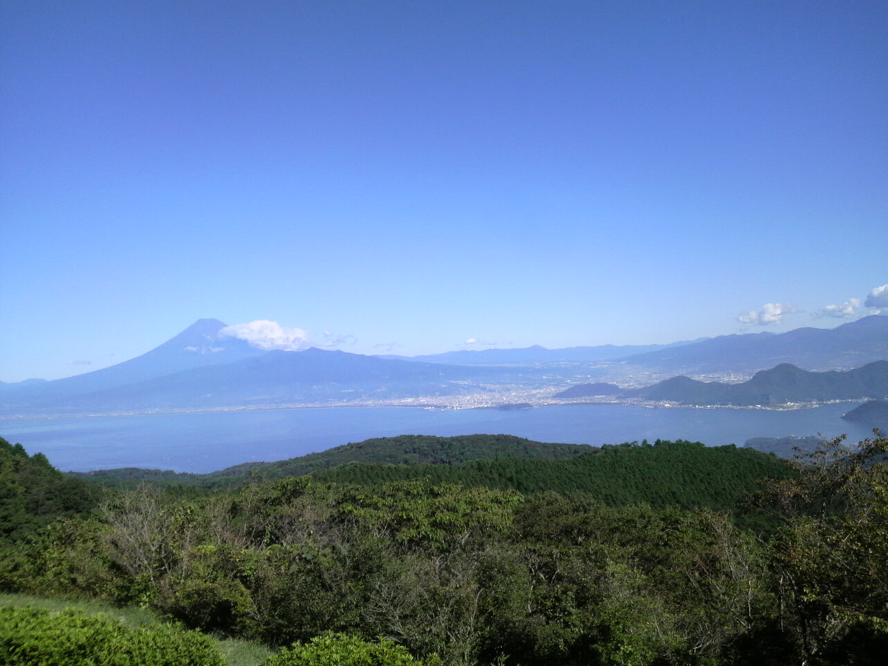 d0087497_1648382.jpg