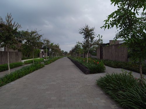 a0036499_14465362.jpg