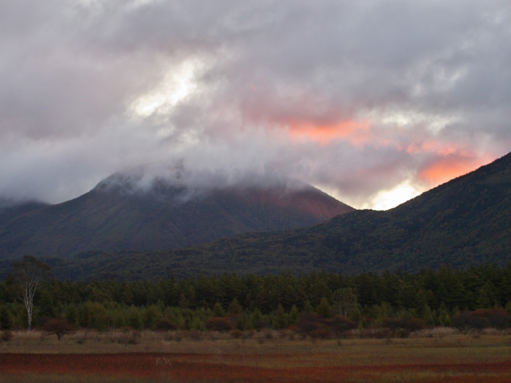 f0224100_674380.jpg