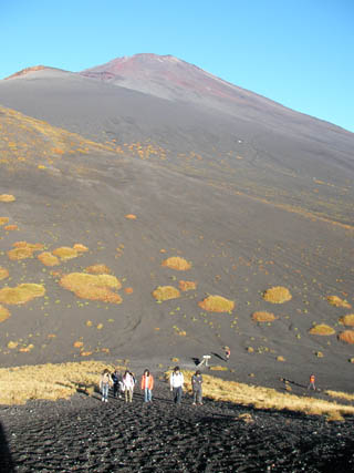 d0004301_22105535.jpg