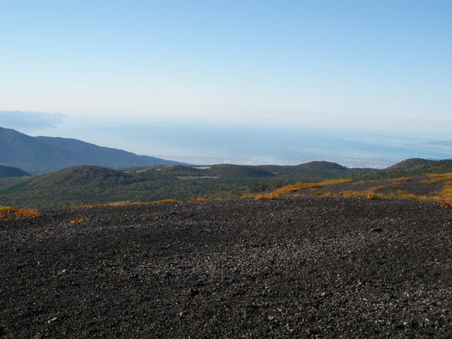 d0004301_22112610.jpg