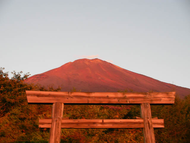 d0004301_2225830.jpg
