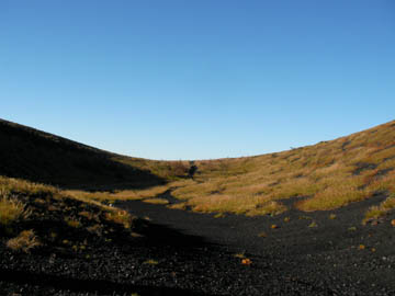 d0004301_2231820.jpg