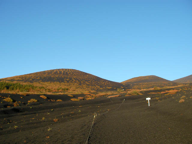 d0004301_223797.jpg