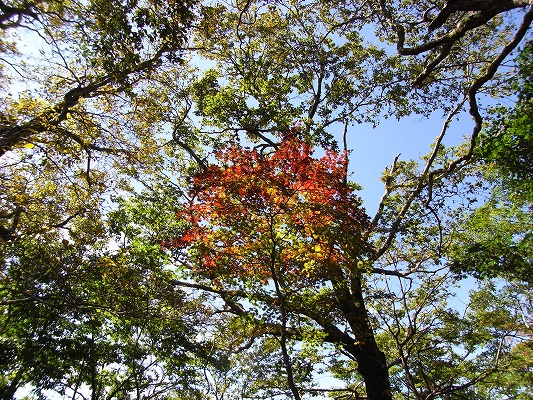 f0187402_22562091.jpg