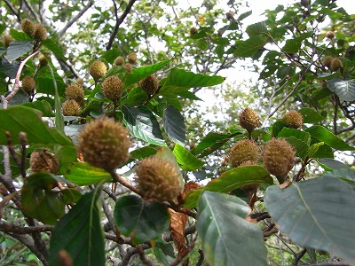 f0187402_22562918.jpg