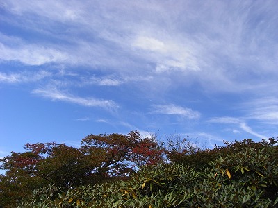 f0187402_22564080.jpg
