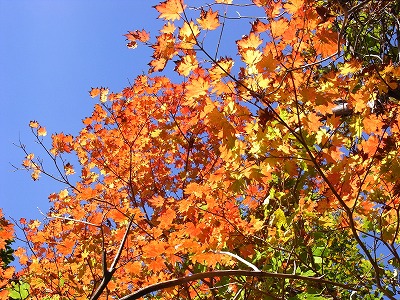 f0187402_22565489.jpg