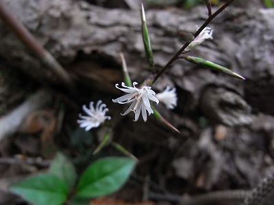 f0187402_2257432.jpg