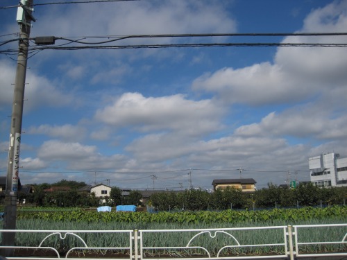 e0183804_10432454.jpg