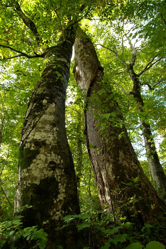 b0050305_2255447.jpg
