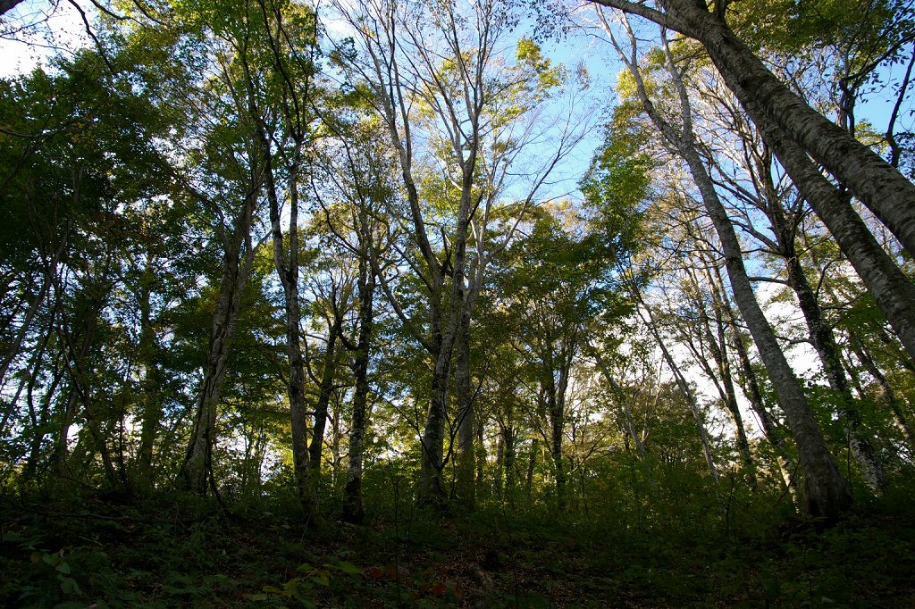 b0050305_230949.jpg