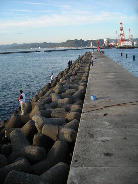 a0142107_935924.jpg