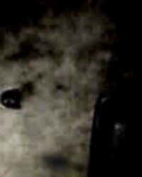e0103408_16542583.gif