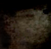 e0103408_1714063.gif