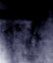 e0103408_172125.gif