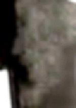 e0103408_172205.gif