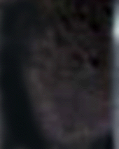 e0103408_1725741.gif