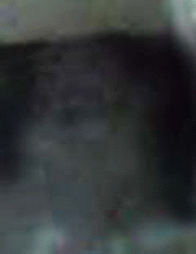 e0103408_1732473.gif