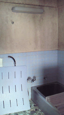 e0103408_1733478.gif