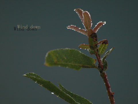 a0021110_11253955.jpg